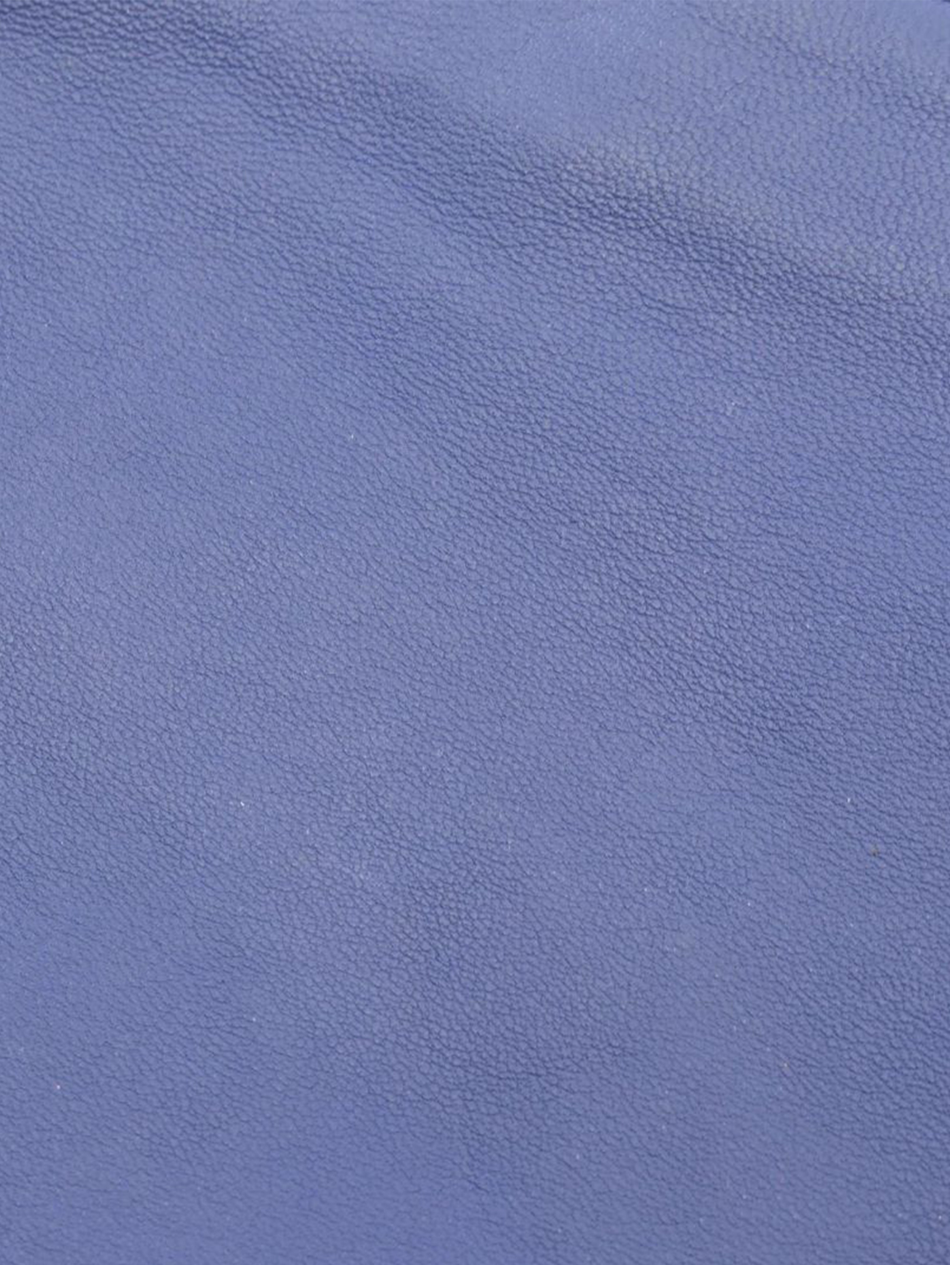 Blue Trio leather shoulder bag