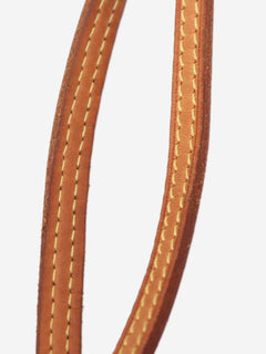 Brown 2009 Monogram Neverfull MM tote Tote Bags Louis Vuitton 
