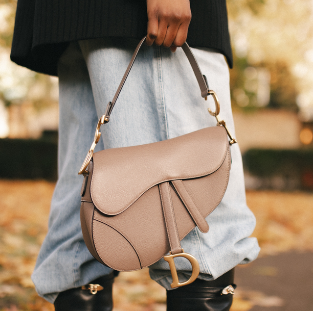 Christian Dior Saddle bag