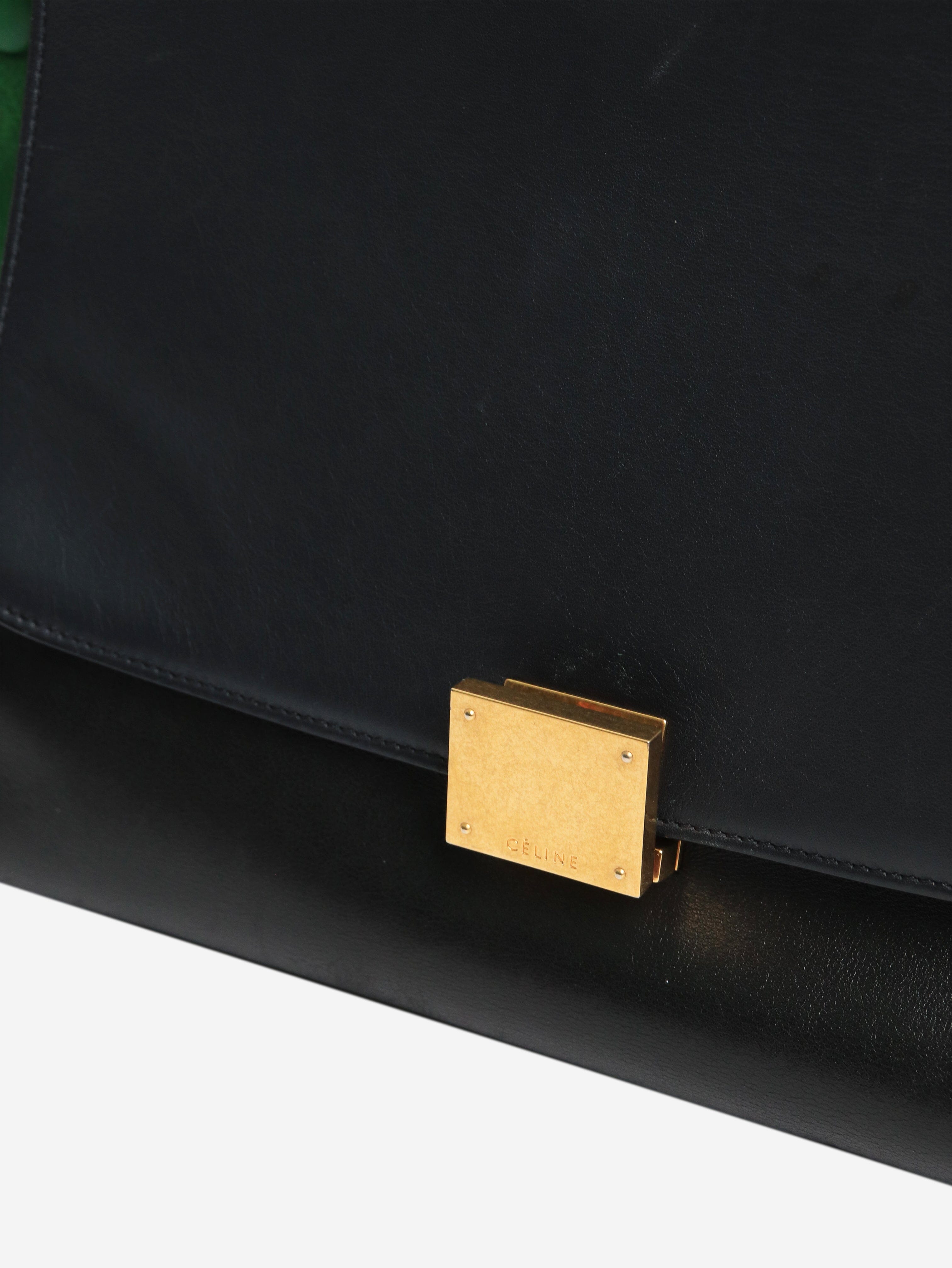 Multicolour Tapeze suede and leather 2way bag Shoulder bags Celine 