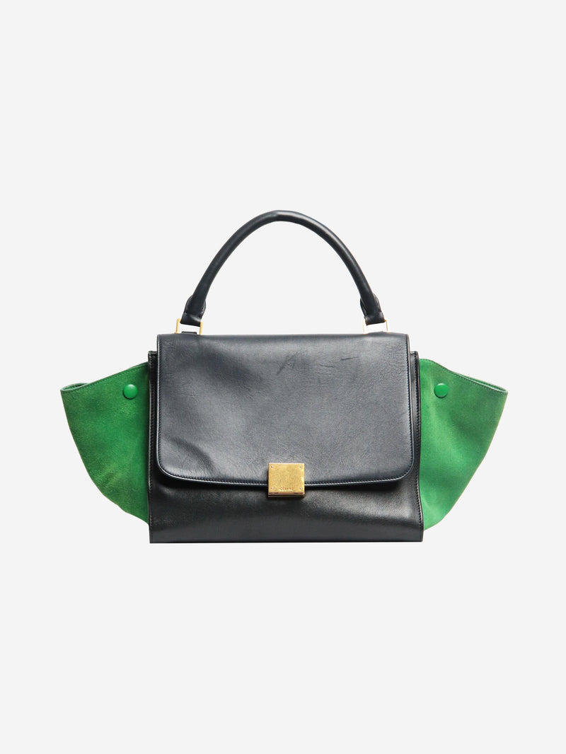 Multicolour Tapeze suede and leather 2way bag Shoulder bags Celine 