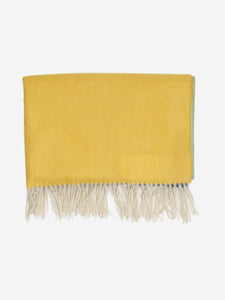 Johnstons of Elgin Multicolour gradient cashmere fringed scarf