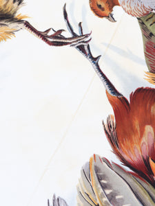 Hermes Brown pheasant print scarf