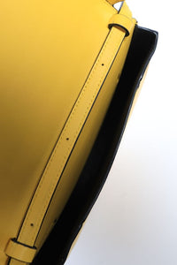 Loewe Yellow Heel leather crossbody bag