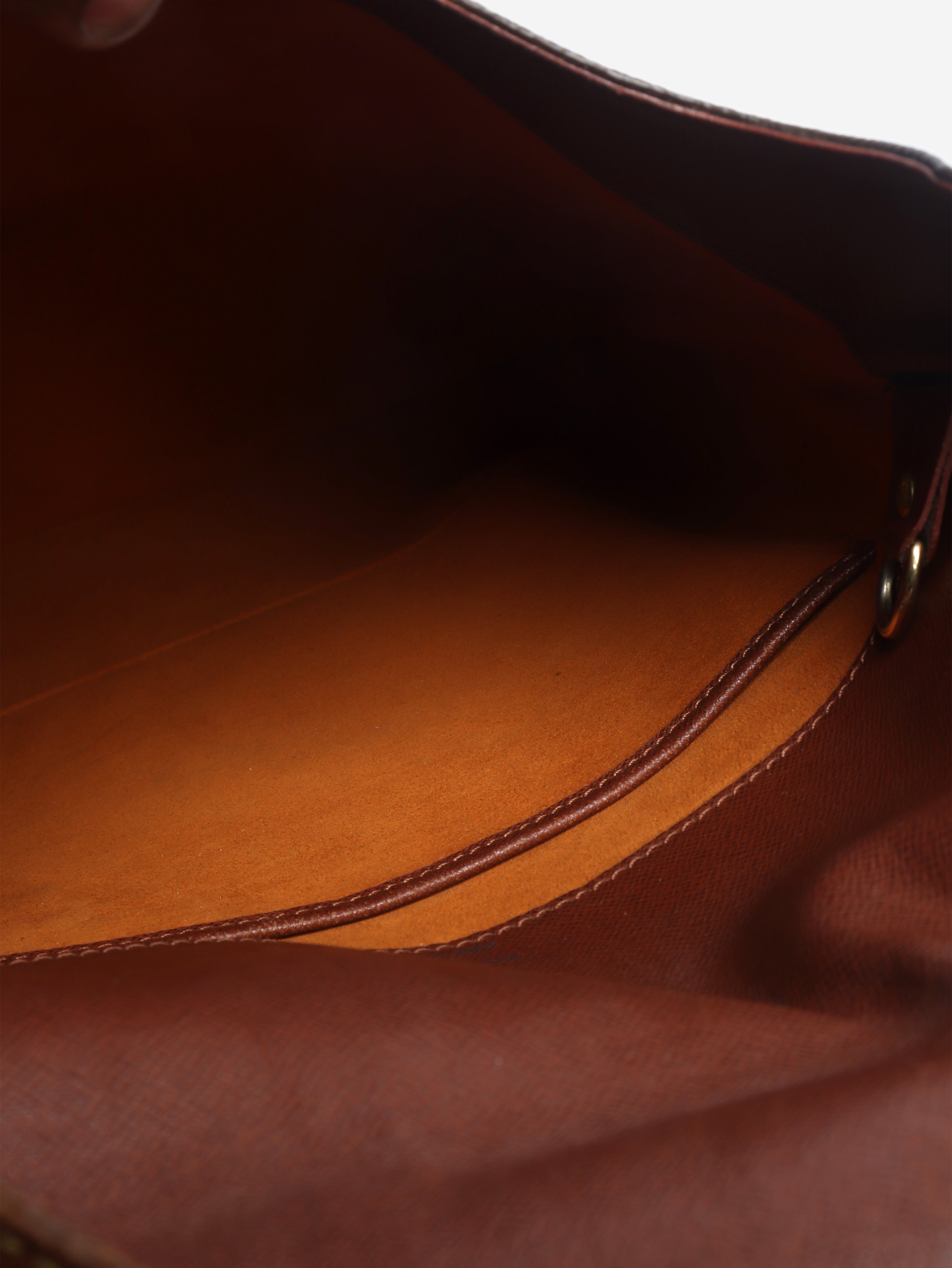 Brown Musette salsa monogram bag