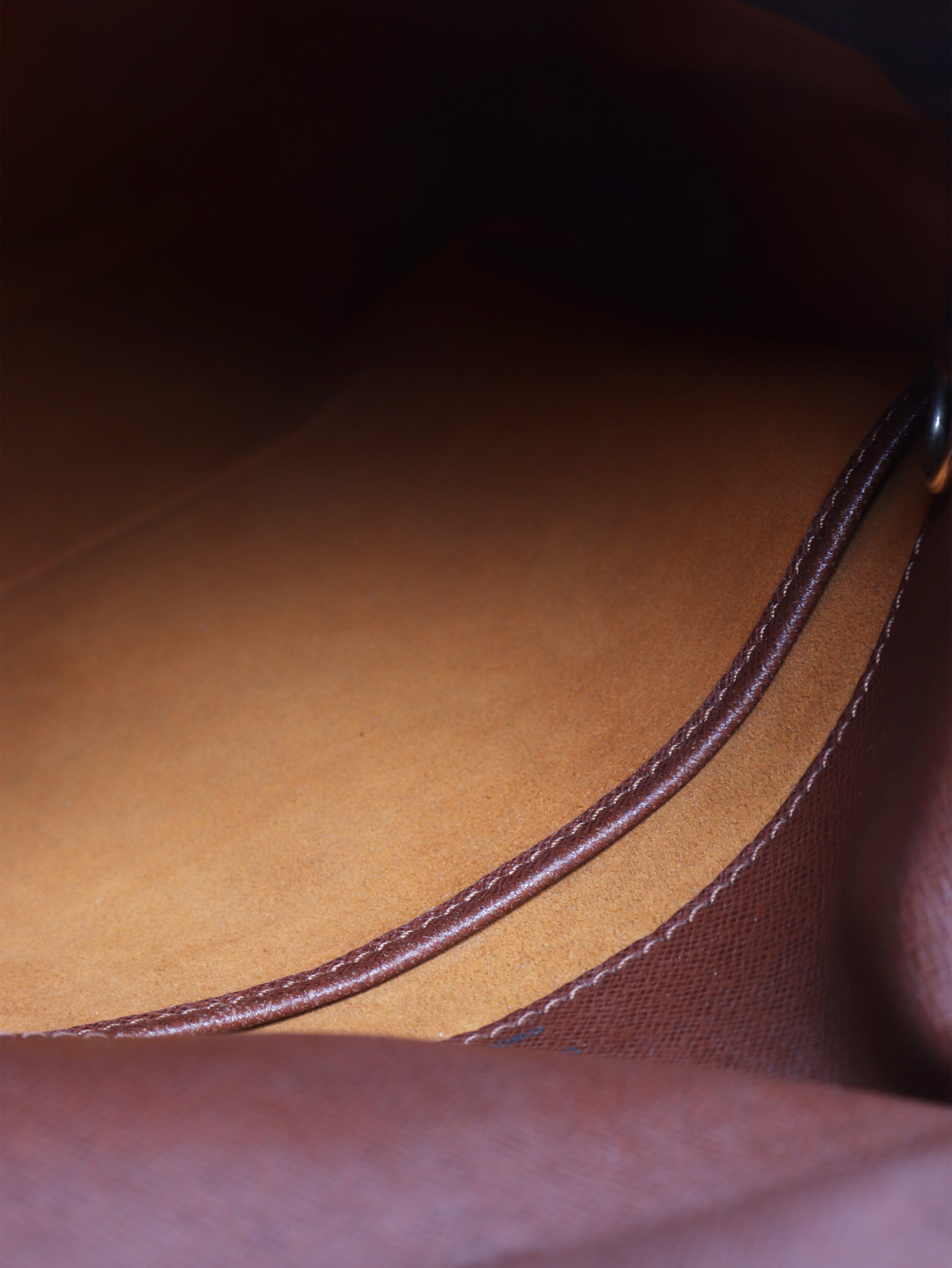 Brown Musette salsa monogram bag