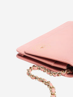 Pink 2012 Camellia Wallet on Chain bag Cross-body bags Chanel 