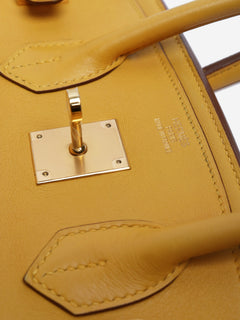 Jaune Ambre 2009 Birkin 35 bag Top Handle Bags Hermes 