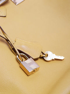 Jaune Ambre 2009 Birkin 35 bag Top Handle Bags Hermes 