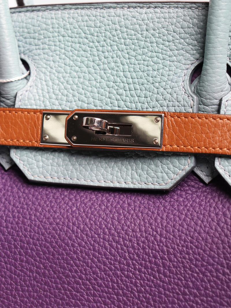 Multicolour 2012 Birkin 30 bag Top Handle Bags Hermes 