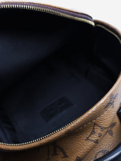 Brown Palm Springs Monogram mini backpack Backpacks Louis Vuitton 