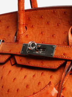Orange Birkin 30 bag in Ostrich leather Top Handle Bags Hermes 