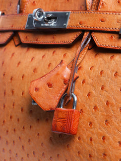 Orange Birkin 30 bag in Ostrich leather Top Handle Bags Hermes 