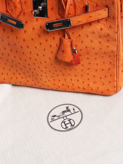 Orange Birkin 30 bag in Ostrich leather Top Handle Bags Hermes 