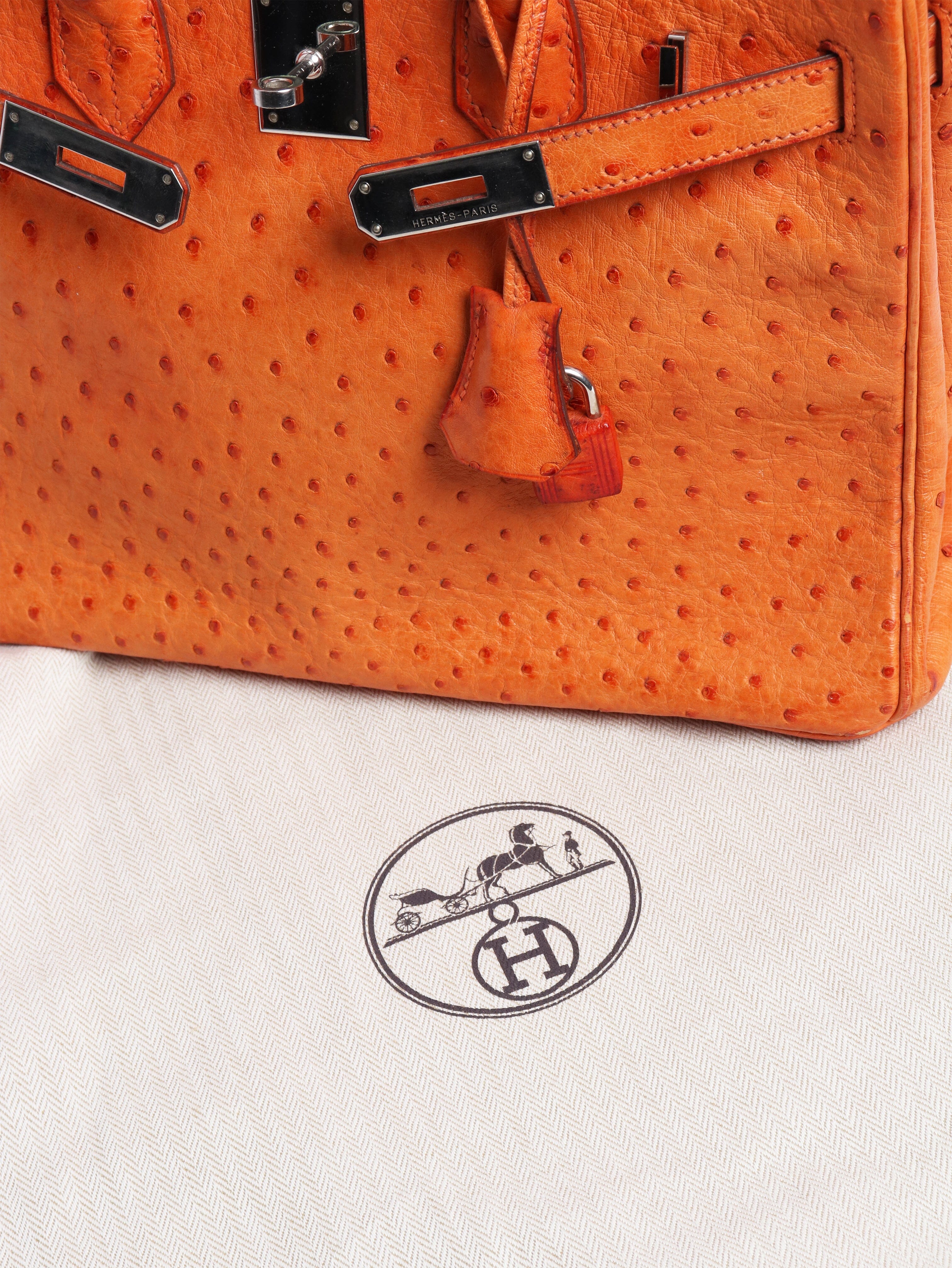 Orange Birkin 30 bag in Ostrich leather Top Handle Bags Hermes 
