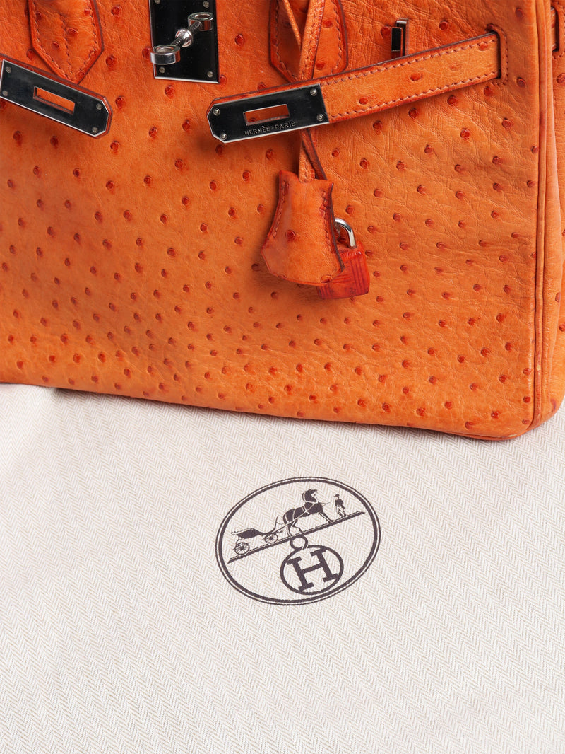 Orange Birkin 30 bag in Ostrich leather Top Handle Bags Hermes 
