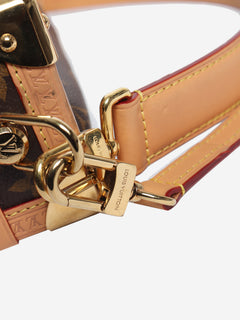 Brown Monogram Side Trunk MM bag