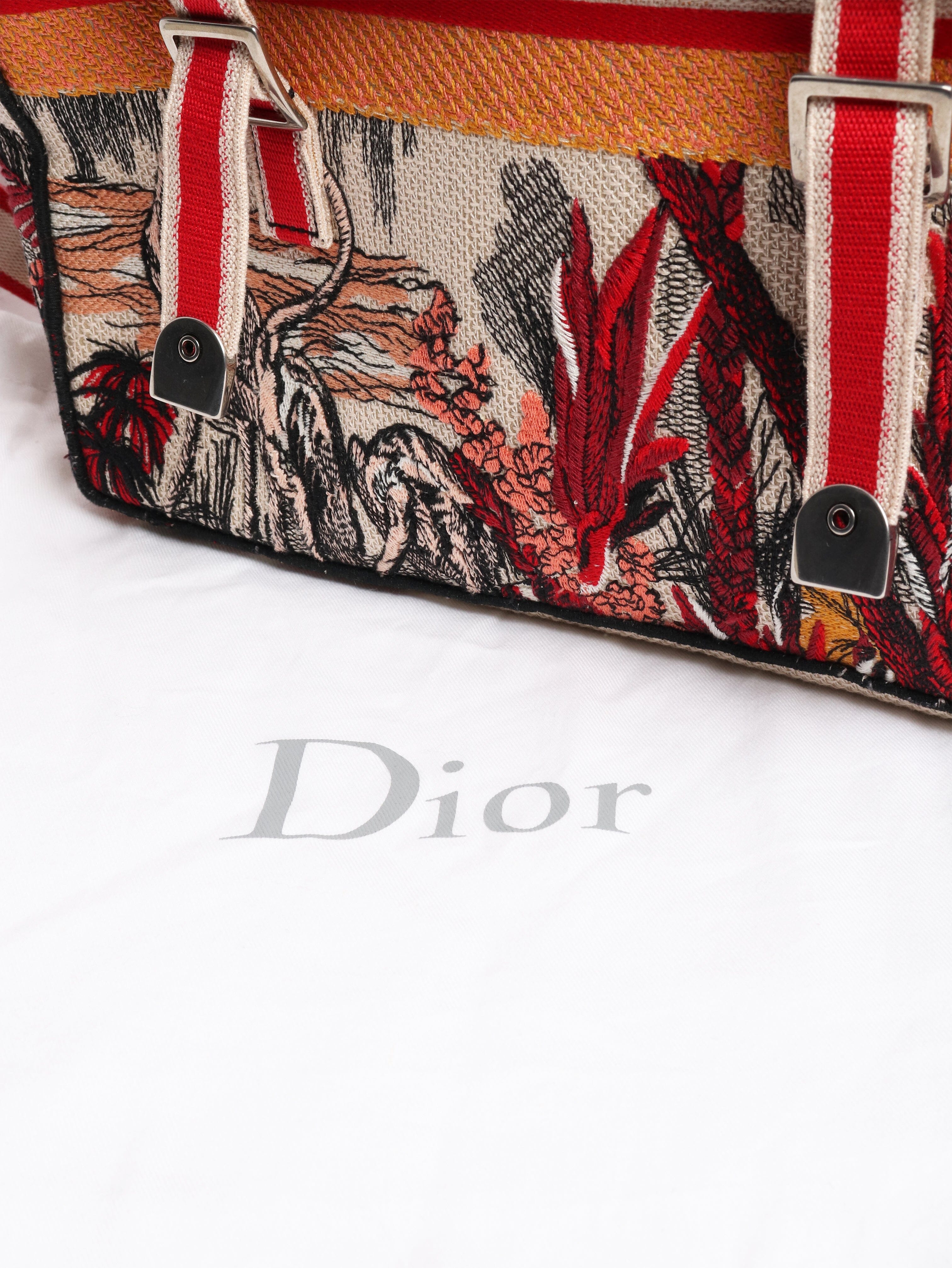 Orange Toile de Juoy Tropolica messenger bag Cross-body bags Dior 