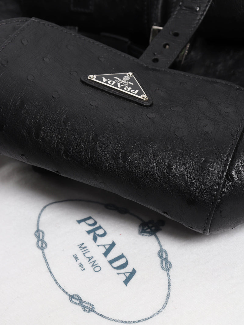 Black ostrich leather backpack Backpacks Prada 
