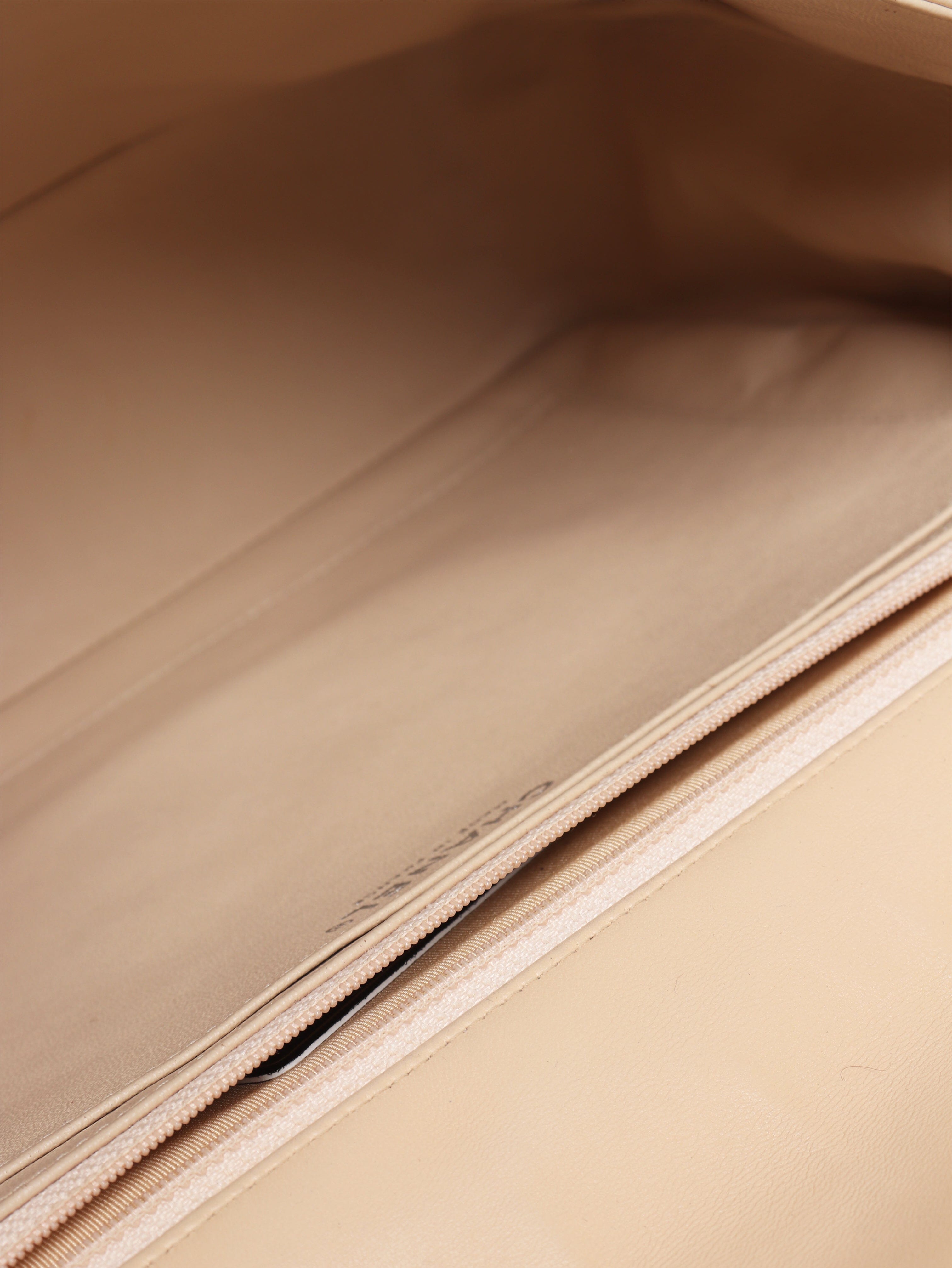 Beige 2009 classic single flap bag