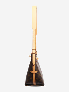 Brown Monogram CarryAll PM bag