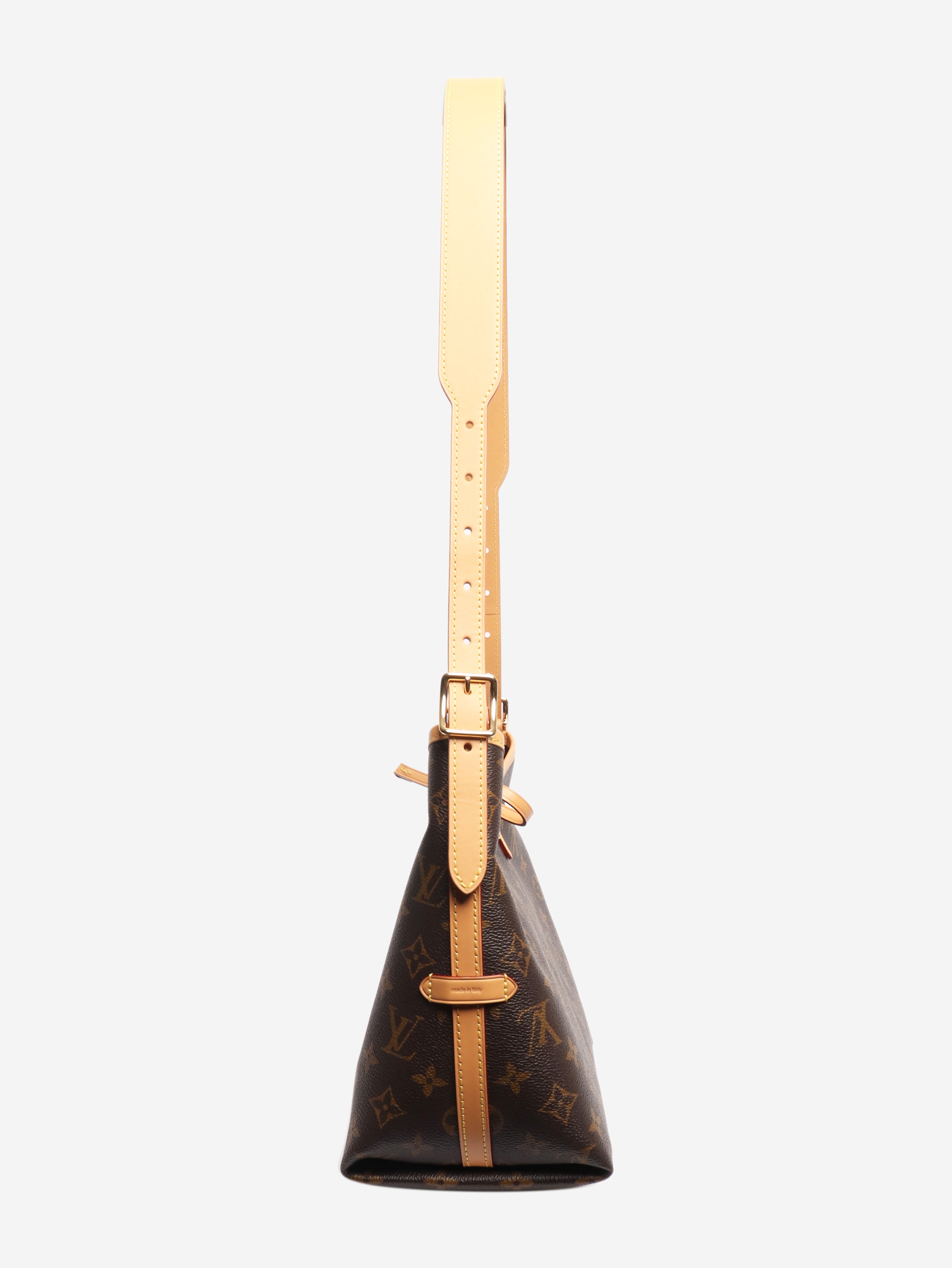 Brown Monogram CarryAll PM bag