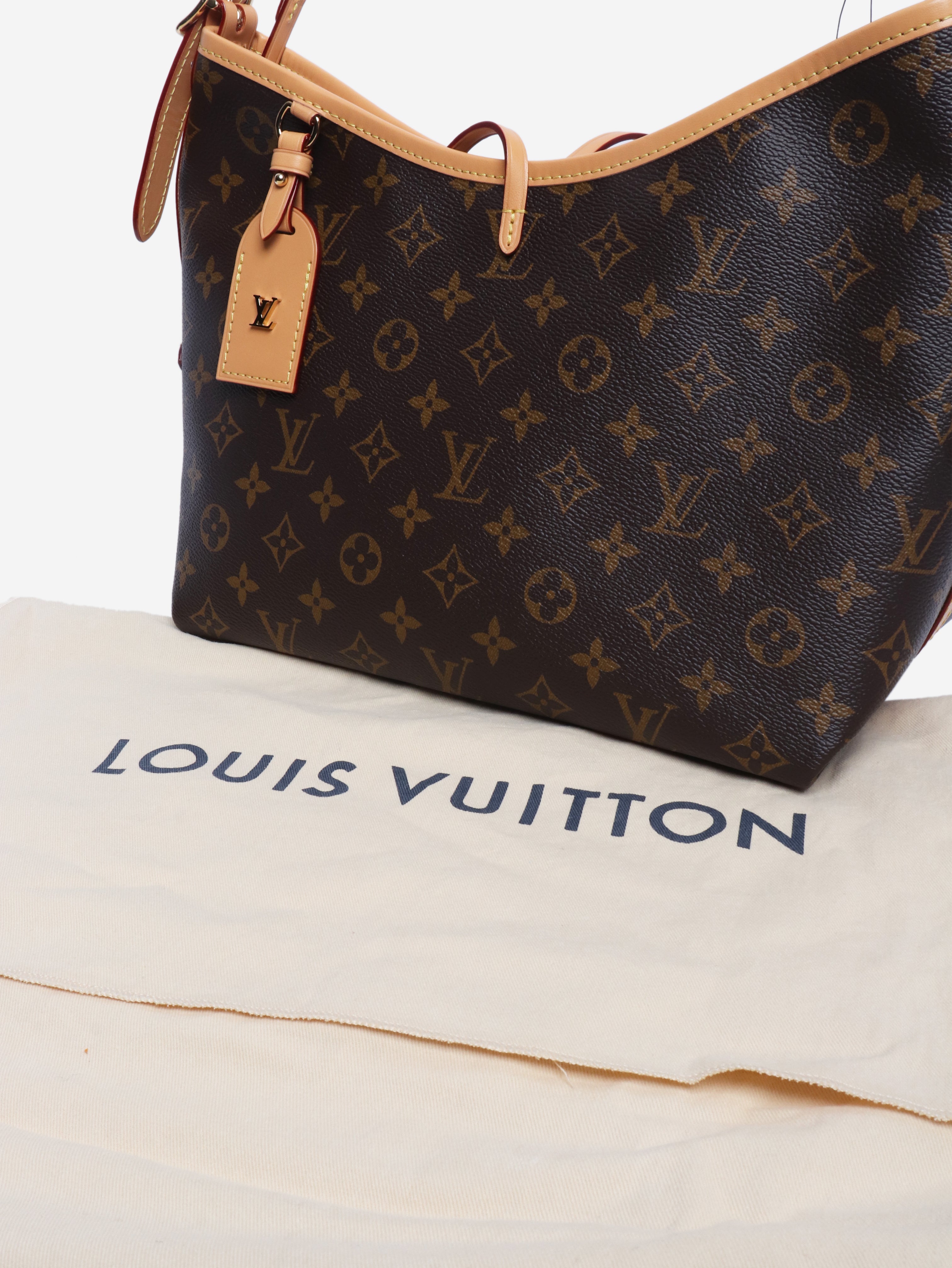 Brown Monogram CarryAll PM bag