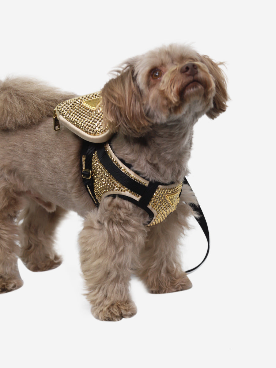 Prada preowned gold crystalstudded dog harness and woven nylon tape