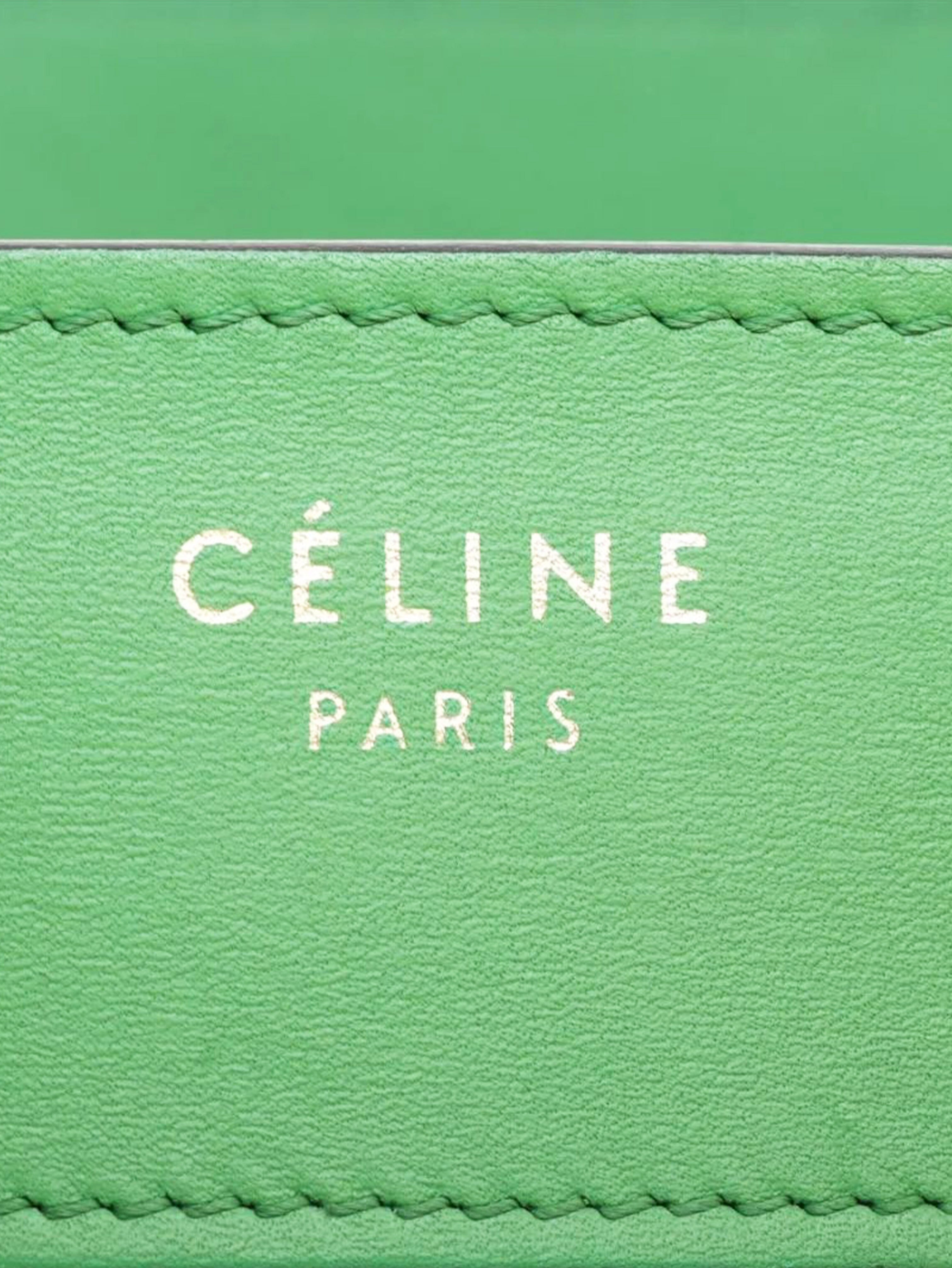 Green Micro Luggage bag Top Handle Bags Celine 