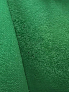 Green Micro Luggage bag Top Handle Bags Celine 
