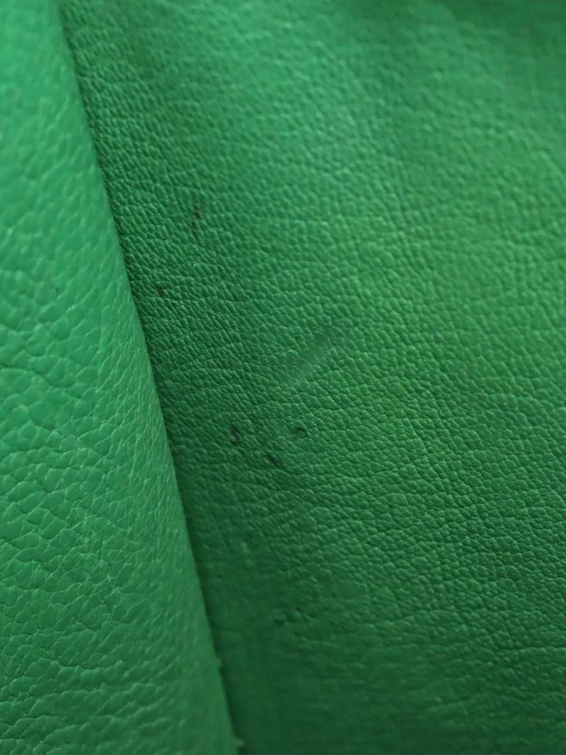Green Micro Luggage bag Top Handle Bags Celine 