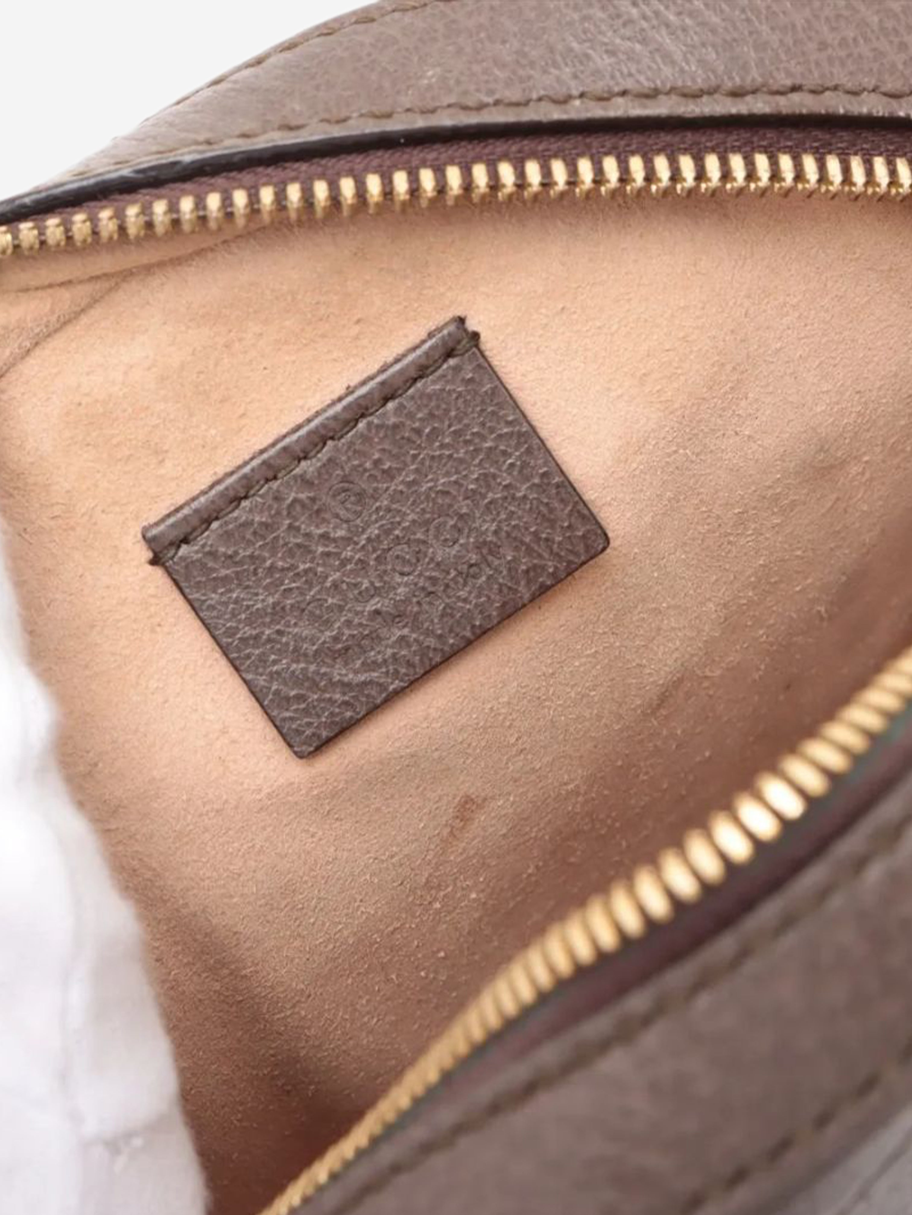Brown GG Ophidia mini round chain shoulder bag