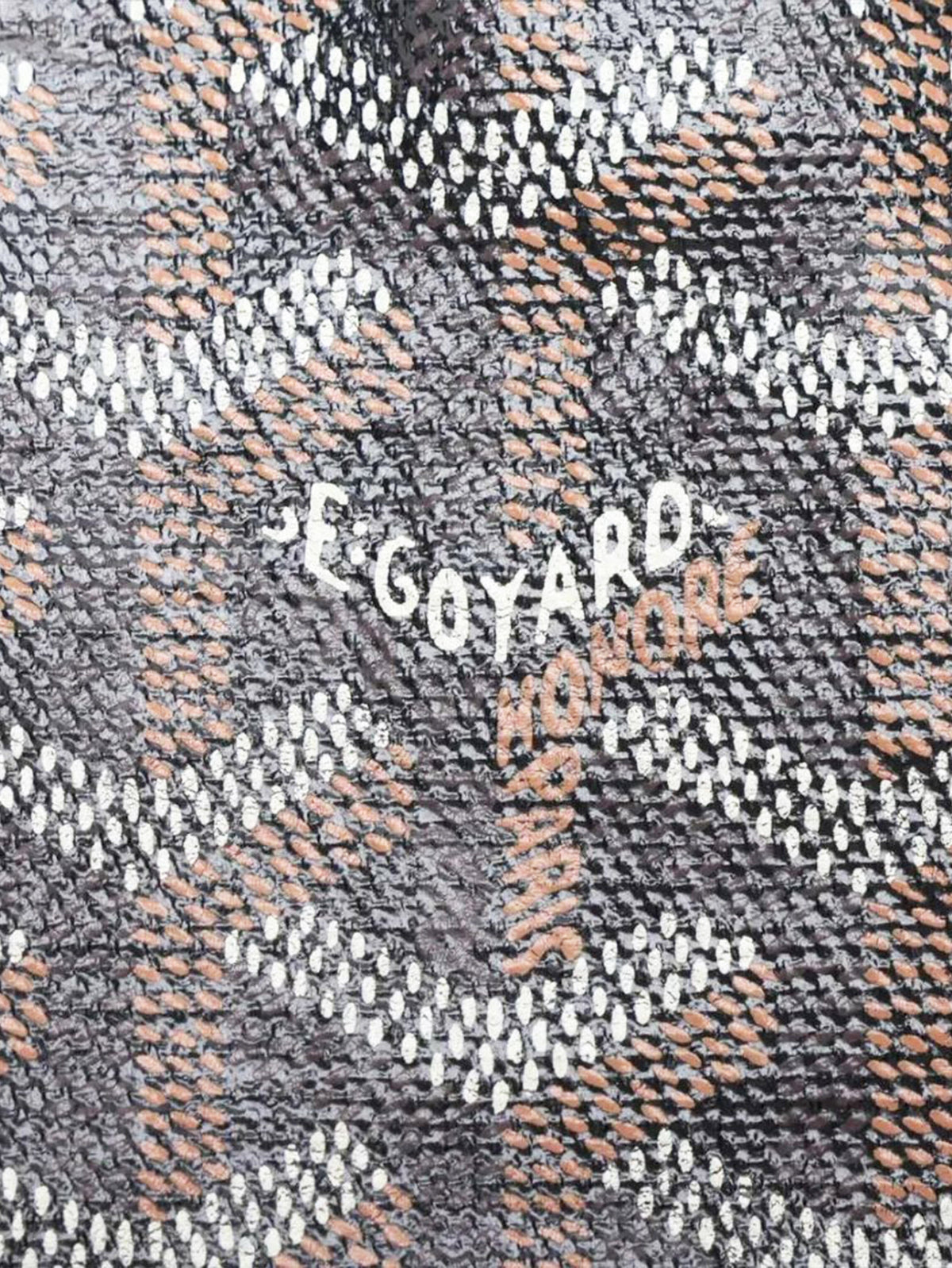Brown Saint Louis PM tote Tote Bags Goyard 